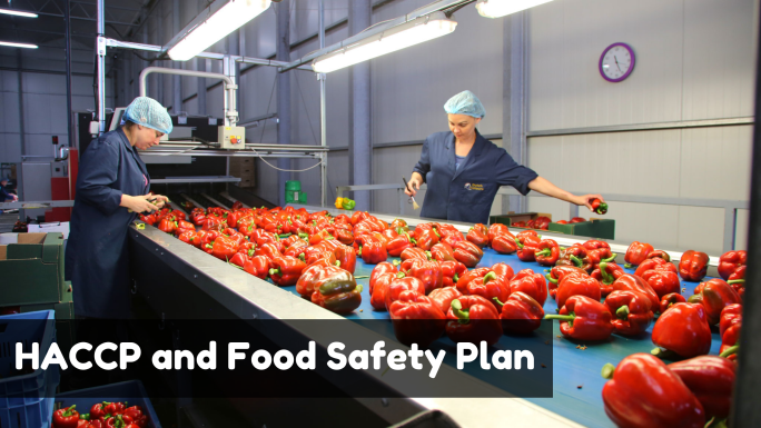 HACCP and Food Safety Plan