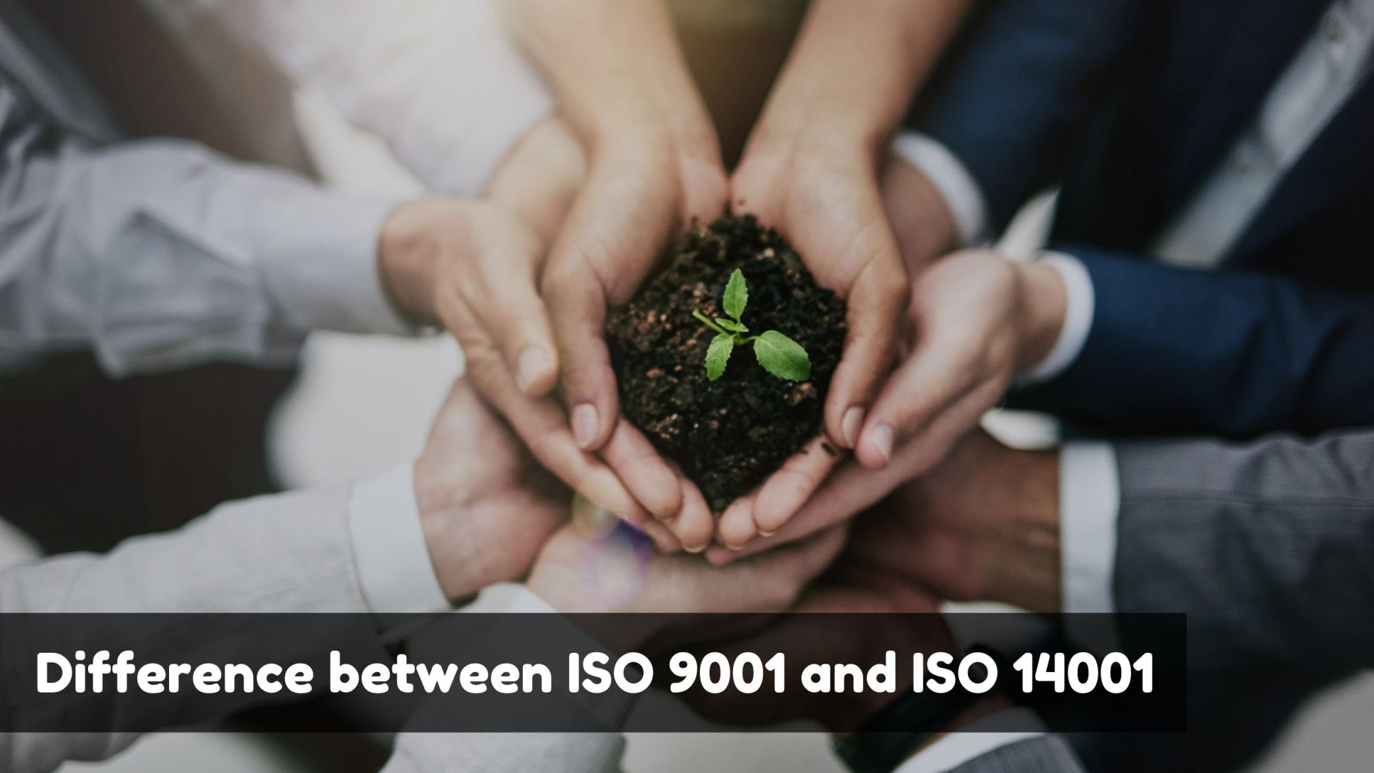 Difference between ISO 9001 and ISO 14001